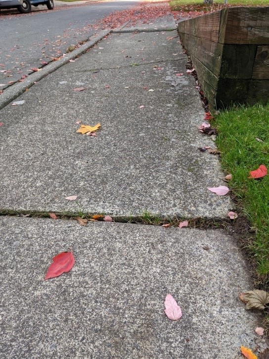 Cracked or uneven sidewalks